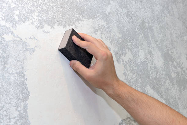 Best Crawl Space Mold Remediation  in Oswego, IL