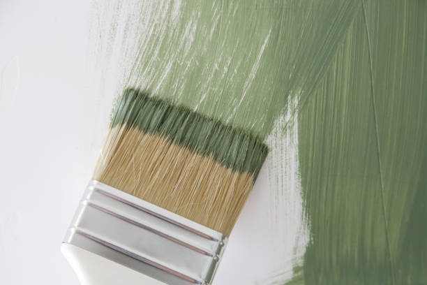 Best Mold Remediation for Rental Properties  in Oswego, IL