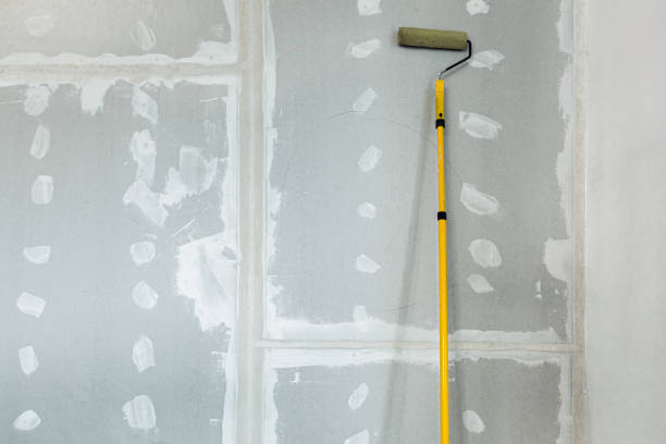  Oswego, IL Mold Removal Pros