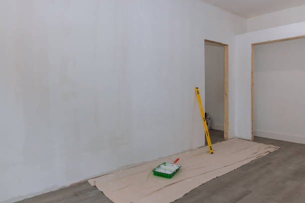 Best Asbestos and Lead Testing During Mold Inspection  in Oswego, IL