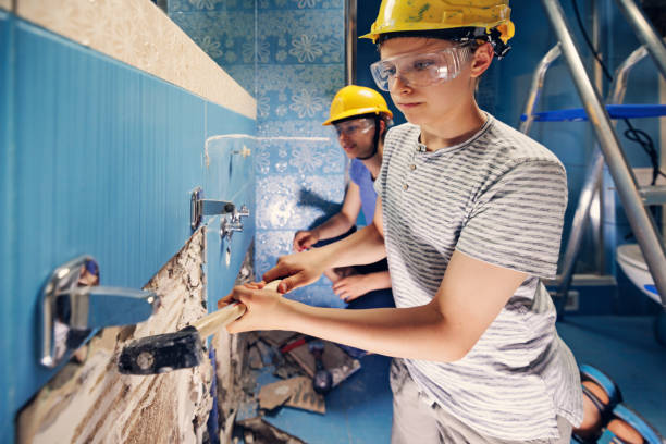 Best Mold Removal for HVAC Installations  in Oswego, IL