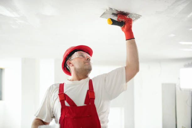 Best Emergency Mold Remediation  in Oswego, IL