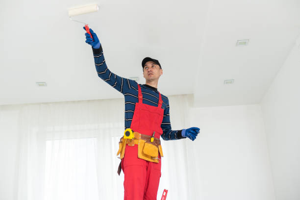 Best Asbestos and Lead Testing During Mold Inspection  in Oswego, IL