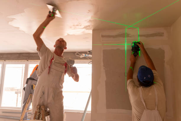 Best Real Estate Mold Inspection  in Oswego, IL