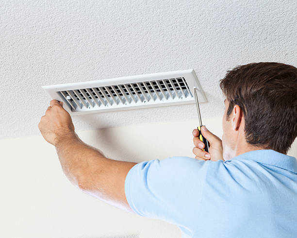 Reliable Oswego, IL Mold Removal Solutions
