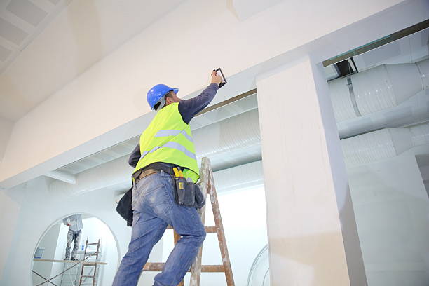 Best Attic Mold Removal  in Oswego, IL