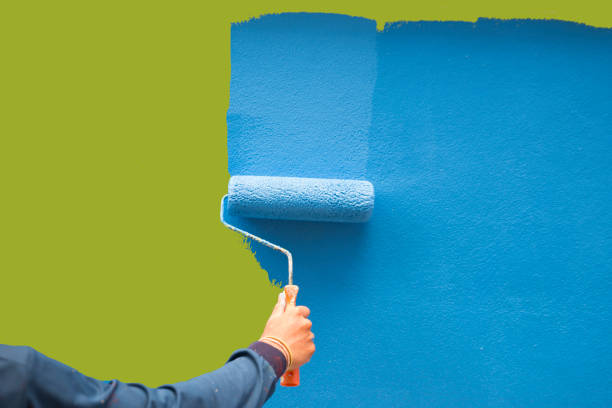 Best Post-Construction Mold Inspection  in Oswego, IL