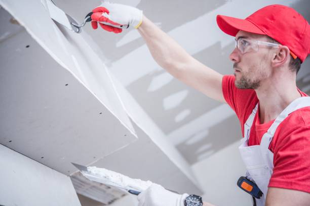 Best HVAC Mold Inspection and Cleaning  in Oswego, IL