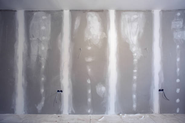 Mold Remediation for Rental Properties in Oswego, IL